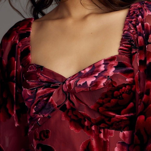 Hutch Printed Twist Front Puff Sleeve Velvet Dress - Picture 4 of 4